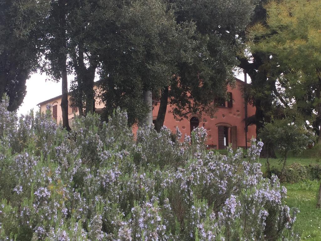 Agriturismo Colle Donatucci Guest House Castagneto Carducci Eksteriør bilde