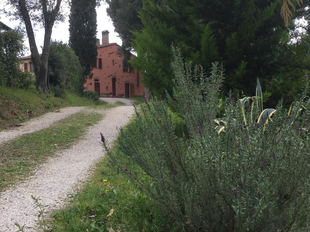Agriturismo Colle Donatucci Guest House Castagneto Carducci Eksteriør bilde