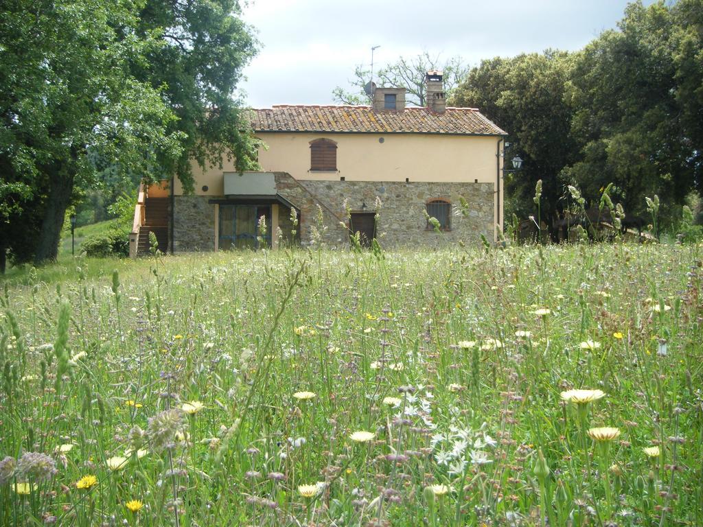 Agriturismo Colle Donatucci Guest House Castagneto Carducci Eksteriør bilde